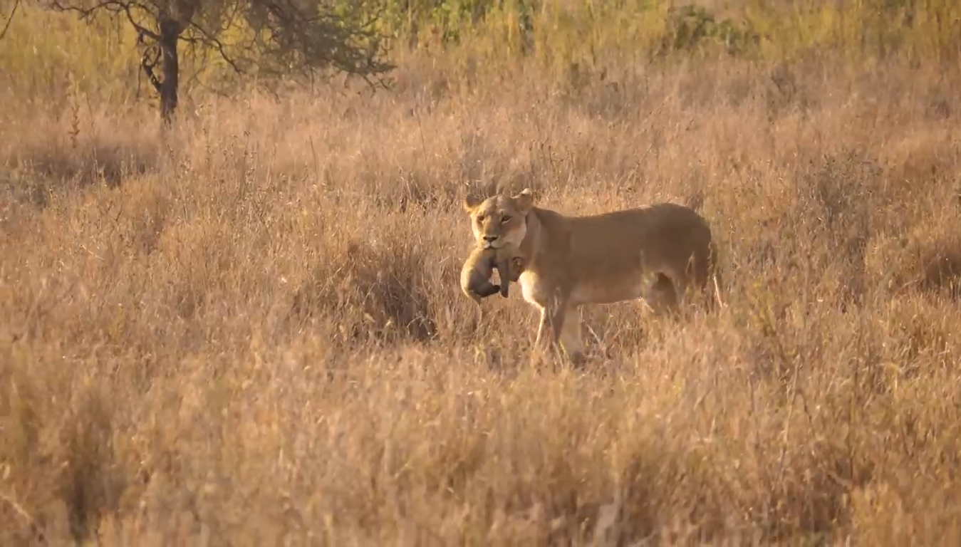 Tarangire National Park