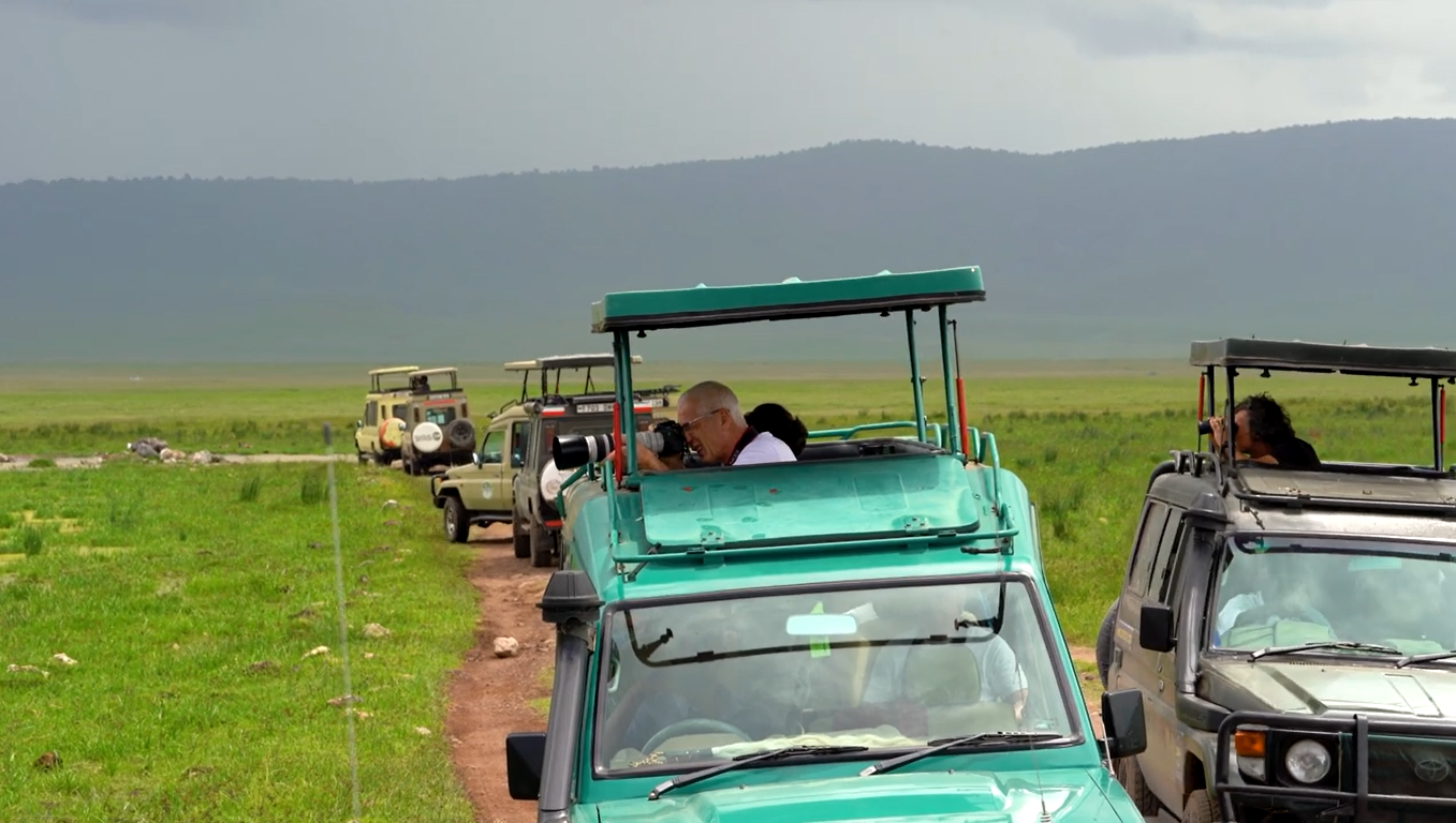 Safari