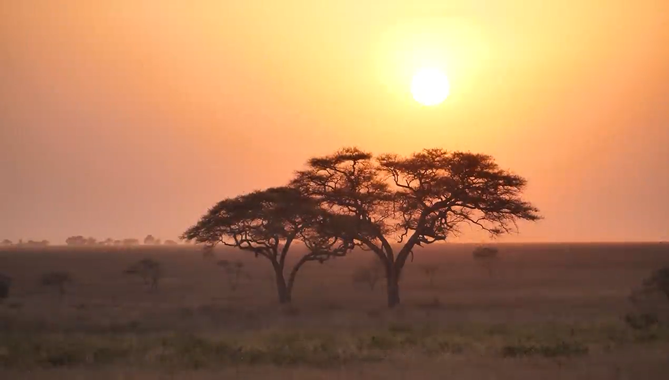 Why Travel With Us?