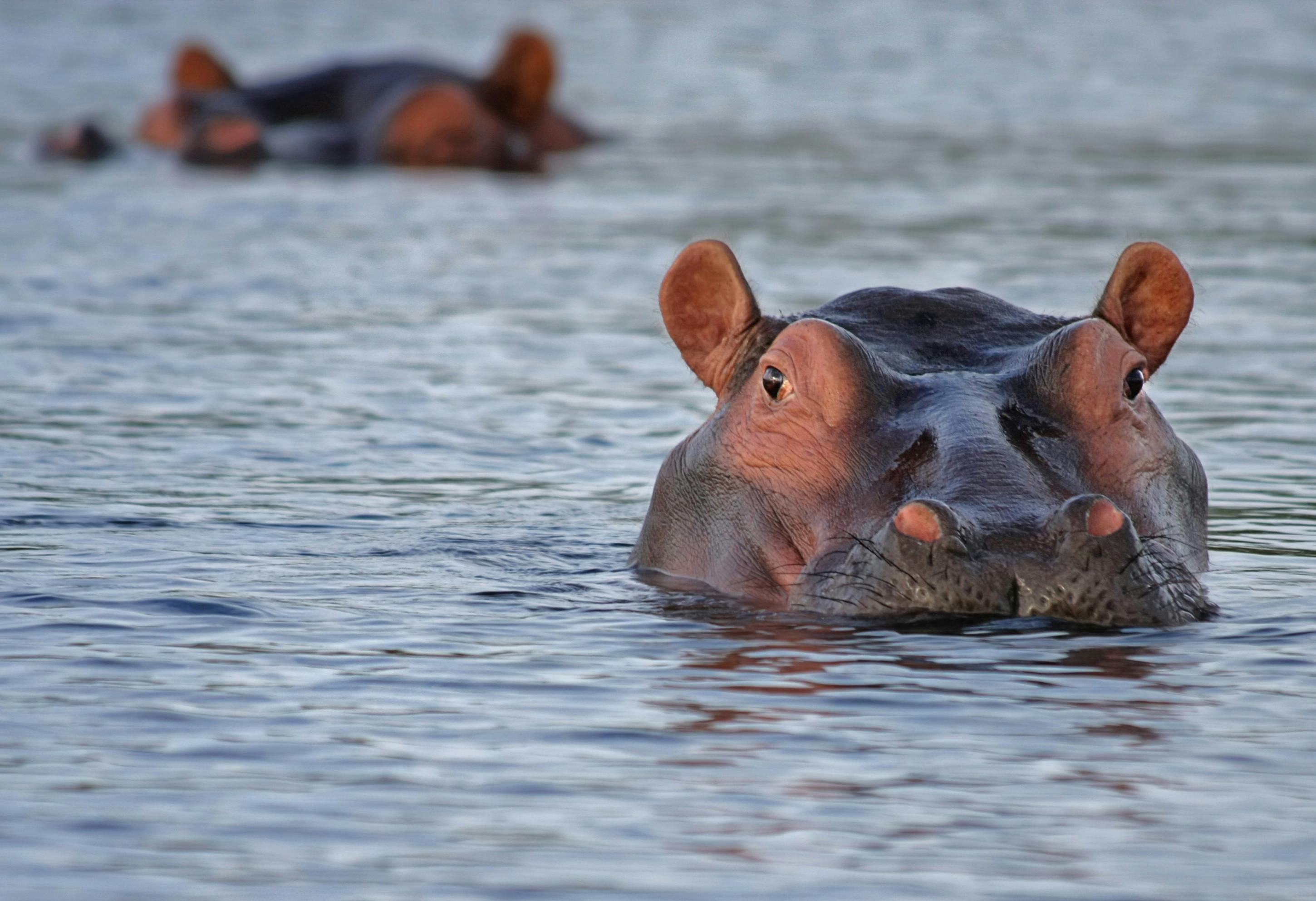 Ngorongoro Crater & Tarangire Safari